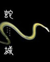 蛇城小说封面