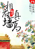 相府墙真高小说封面