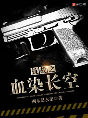 抗战之血染长空小说封面