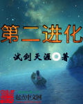第二进化小说封面