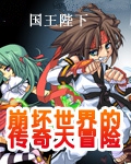 崩坏世界的传奇大冒险小说封面
