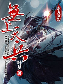 无上天兵小说封面