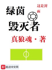 绿茵毁灭者小说封面
