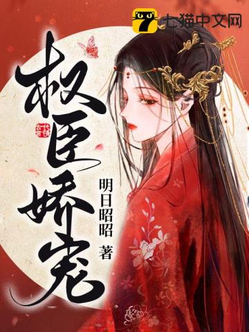 权臣娇宠小说封面