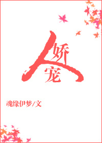 人娇宠小说封面