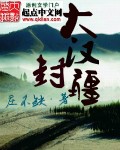 大汉封疆小说封面