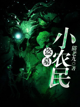 盗墓小农民小说封面