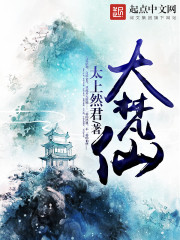 大梵仙小说封面