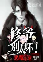 恶魔百分宠：修爷，别太坏！小说封面