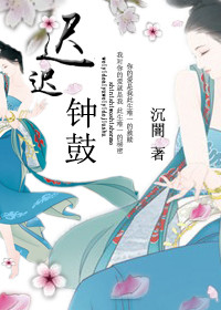 迟迟钟鼓小说封面