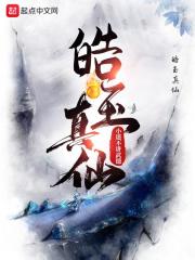 皓玉真仙小说封面