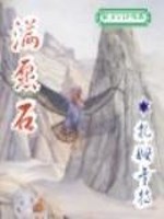 满愿石小说封面