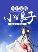 屠户家的小娘子小说封面