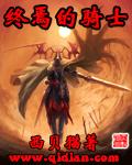 终焉的骑士小说封面