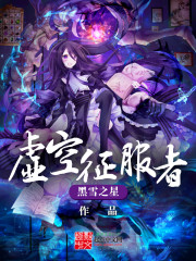 虚空征服者小说封面