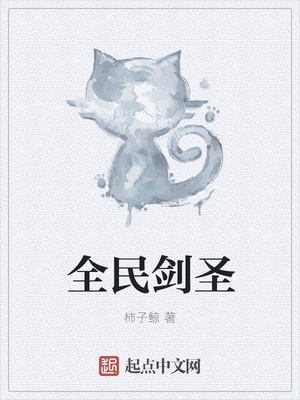 全民剑圣小说封面