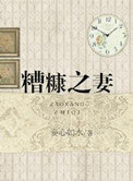 糟糠之妻小说封面