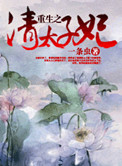 重生之清太子妃小说封面