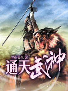 通天武神小说封面