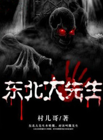 东北大先生小说封面