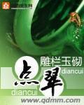 点翠小说封面