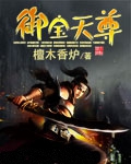 御宝天尊小说封面