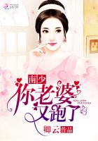 南少，你老婆又跑了小说封面