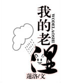 我的老师小说封面
