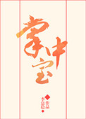 掌中宝小说封面