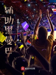 辅助黑曼巴小说封面
