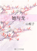 她与龙小说封面
