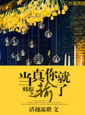 韩娱之当真你就输了小说封面
