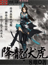 降龙伏虎小说封面
