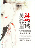 芙蓉里小说封面