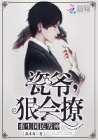 瓷爷，狠会撩小说封面