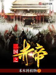 三国之赤帝小说封面