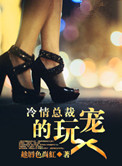冷情总裁的玩宠小说封面