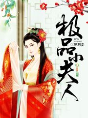 极品小夫人小说封面
