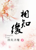 相知缘小说封面