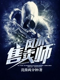 风水售卖师小说封面