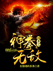 国术之神拳无敌小说封面