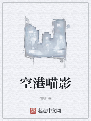 空港喵影小说封面