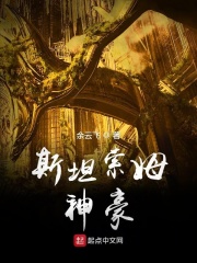 斯坦索姆神豪小说封面