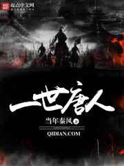 一世唐人小说封面