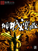 倾城宝藏小说封面
