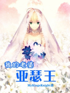我的老婆亚瑟王小说封面