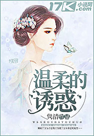 温柔的诱惑小说封面