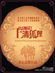 上清狐狸小说封面