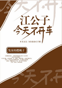 江公子今天不开车小说封面