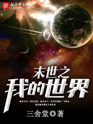 末世之我的世界小说封面